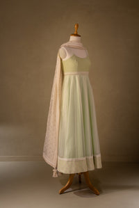 Green-Off White Organza Anarkali