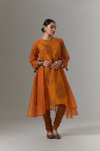 Organza quilted kali kurta with paisley buta chanderi slip, churidar and dupatta.