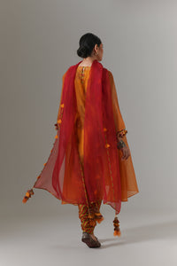 Organza quilted kali kurta with paisley buta chanderi slip, churidar and dupatta.
