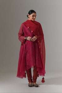 Organza quilted kali kurta with all-over paisley chanderi slip, churidar and dupatta.