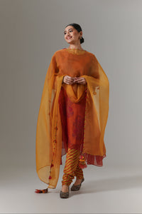 Organza quilted kali kurta with paisley buta chanderi slip, churidar and dupatta.
