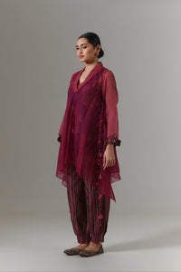 Organza quilted bias-cut kurta with paisley buta chanderi slip, and balloon pants.