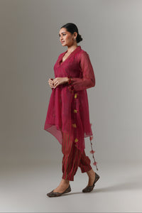 Organza quilted bias-cut kurta with all-over paisley chanderi slip, and balloon pants.