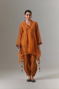 Organza quilted bias-cut kurta with paisley buta chanderi slip, and balloon pants.