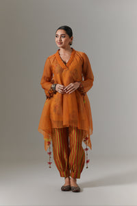 Organza quilted bias-cut kurta with paisley buta chanderi slip, and balloon pants.
