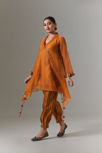 Organza quilted bias-cut kurta with paisley buta chanderi slip, and balloon pants.