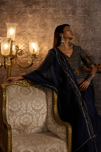 Indigo Organza Saree